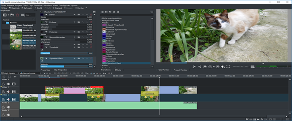 editor video gratuito Kdenlive per Windows e Linux