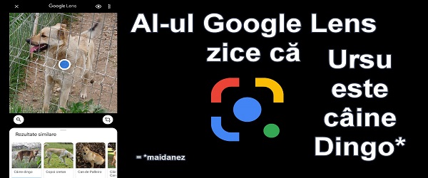 „Google Lens“ faktinio naudojimo instrukcija