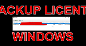 Find out information and backup Windows license