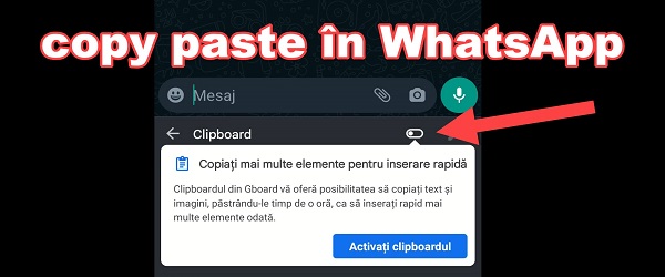 Copy and paste pictures in WhatsApp