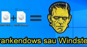 Windows 11 Frankenstein STICK univerzalno združljiv