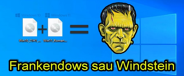 Univerzální kompatibilní s Windows 11 Frankenstein STICK