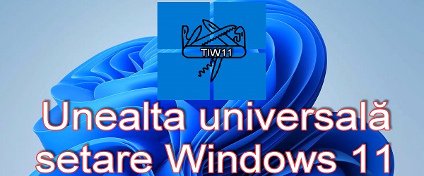 TIW11 unealta perfectă setare Windows 11