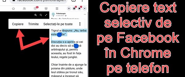 Copiere text selectiv de pe Facebook