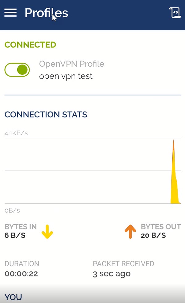 Open VPN setup between router and remote phone - private network