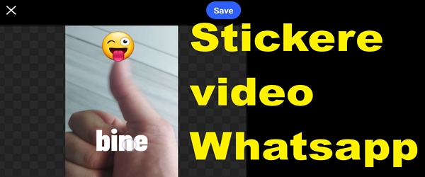 Aplicație creare stickere statice și video