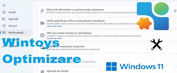 Ứng dụng tối ưu hóa Windows 11 Wintoys Rumani