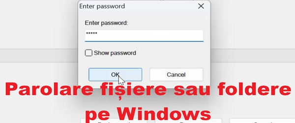Parolare foldere sau fișiere pe Windows