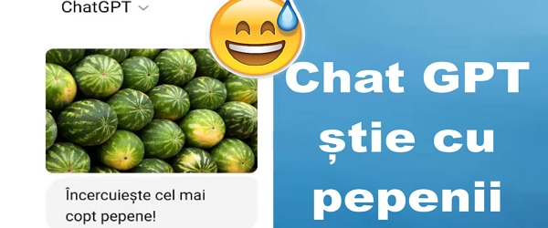 AI-ul găsește pepenii copți și medicamente ieftine