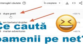 Vezi ce caută lumea pe internet